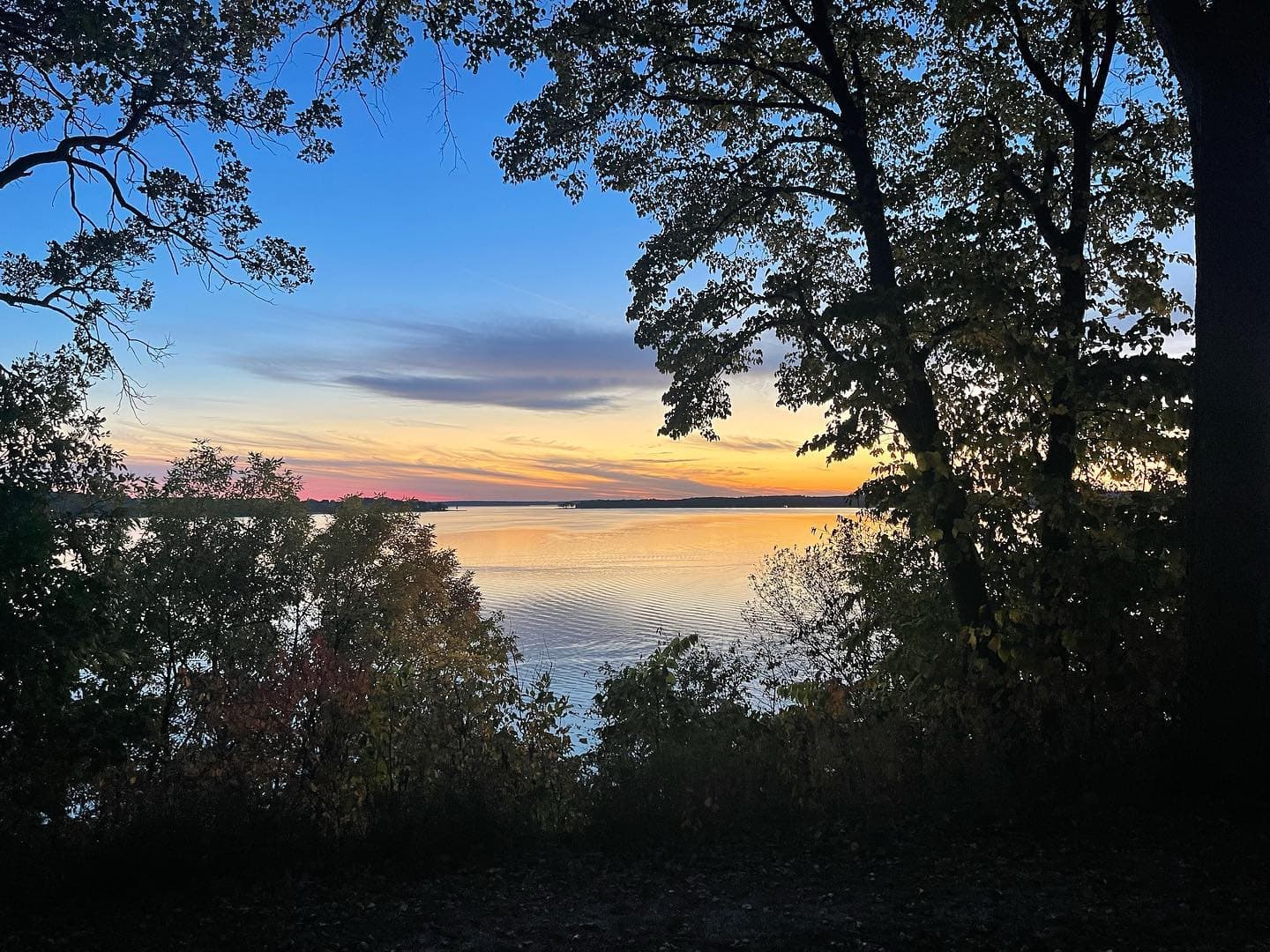 Vibrant sunset over a calm lake, framed by the dark silhouettes of leafy trees.