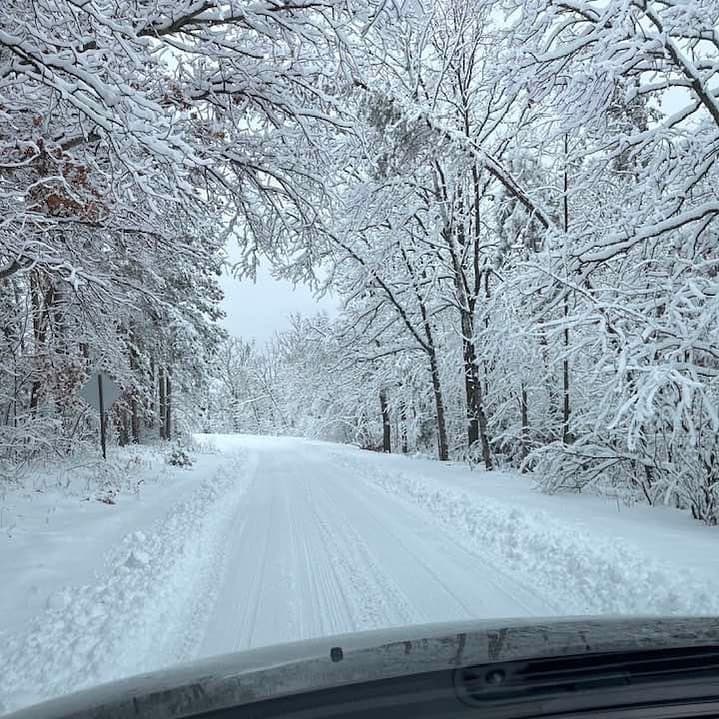 Snow-covered road through a winter forest with trees heavily laden with fresh, white snow.
