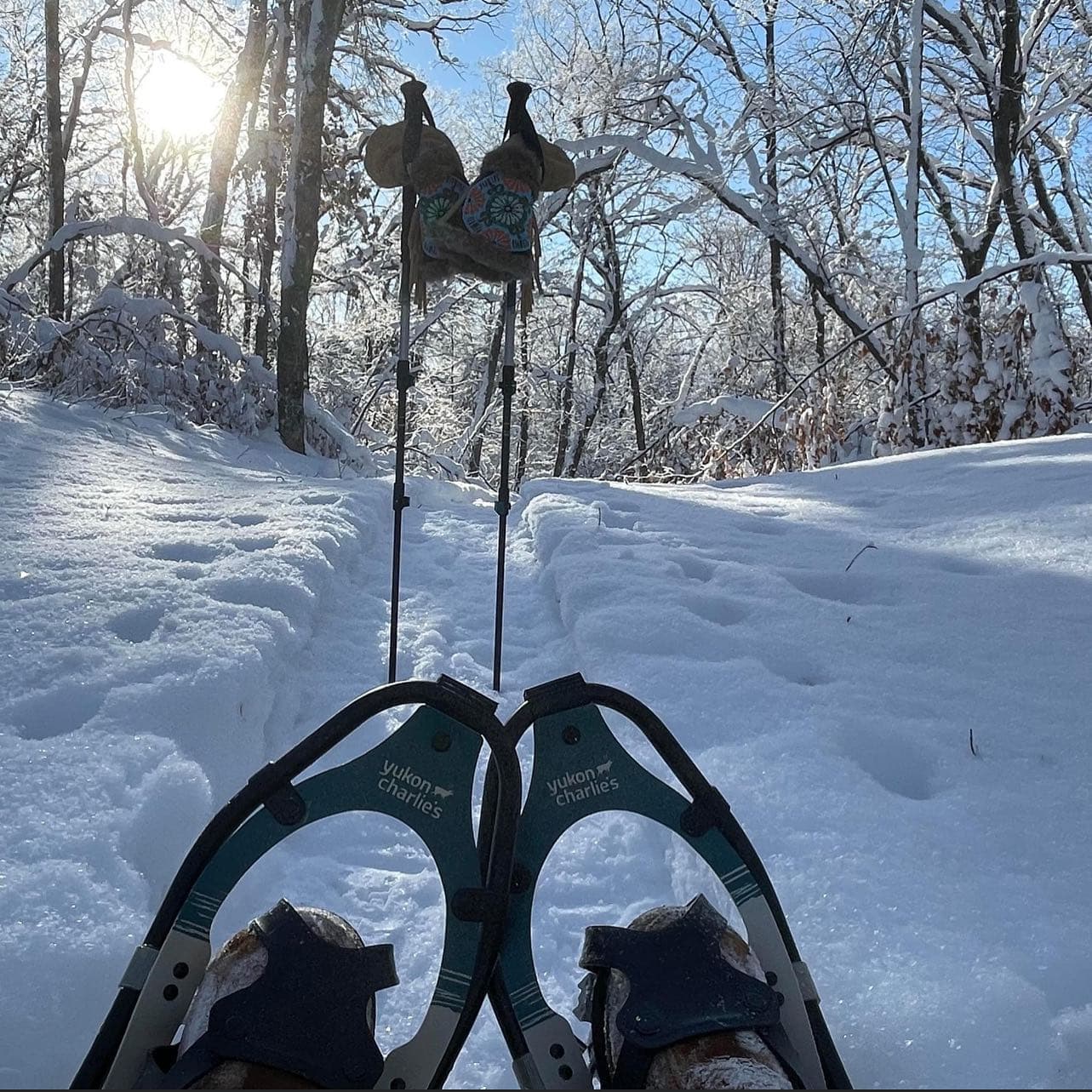 Snowshoes on a trail with trekking poles and mittens in a sun-drenched winter forest.