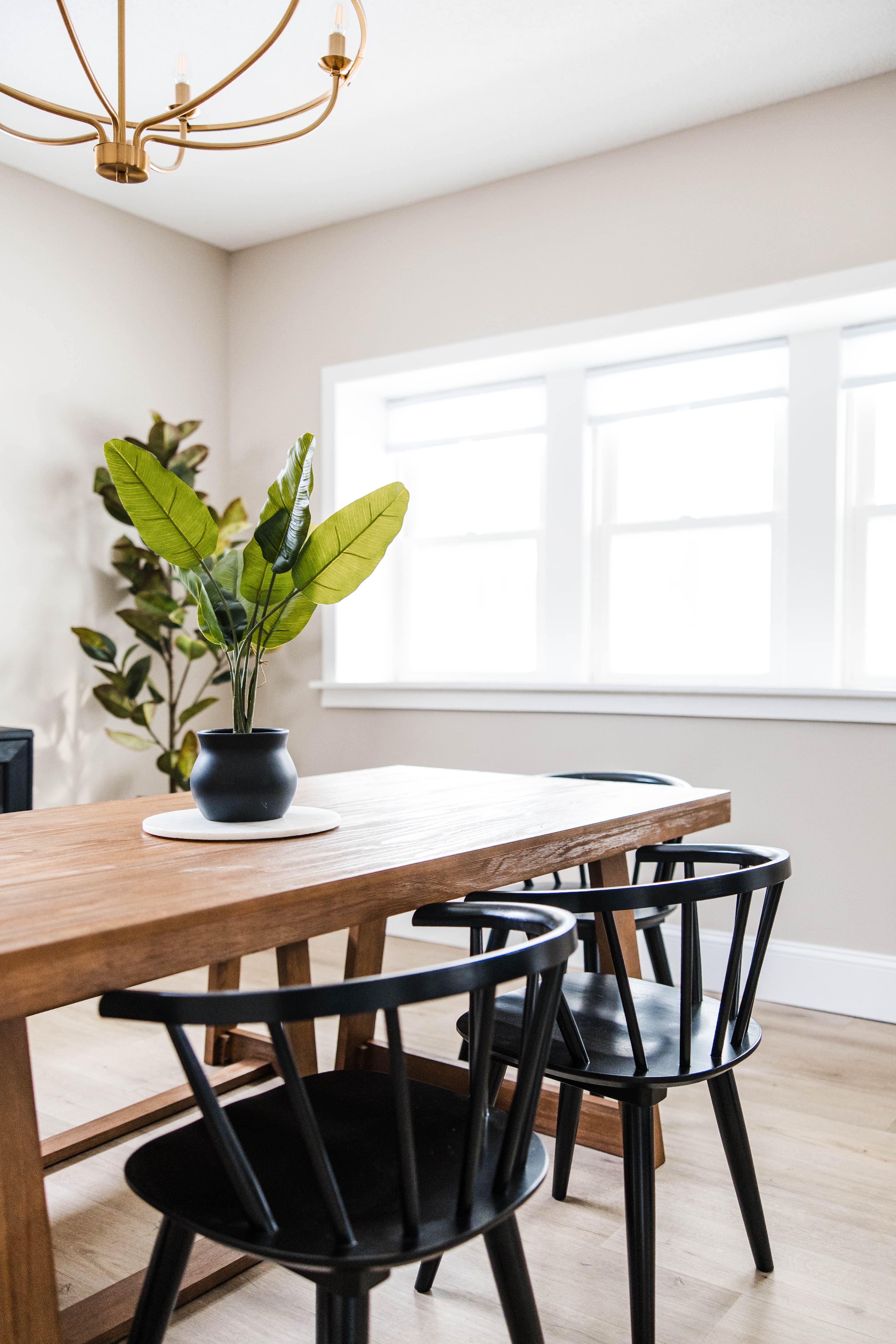 Bright dining room with a wooden table, black chairs, and a green plant centerpiece.