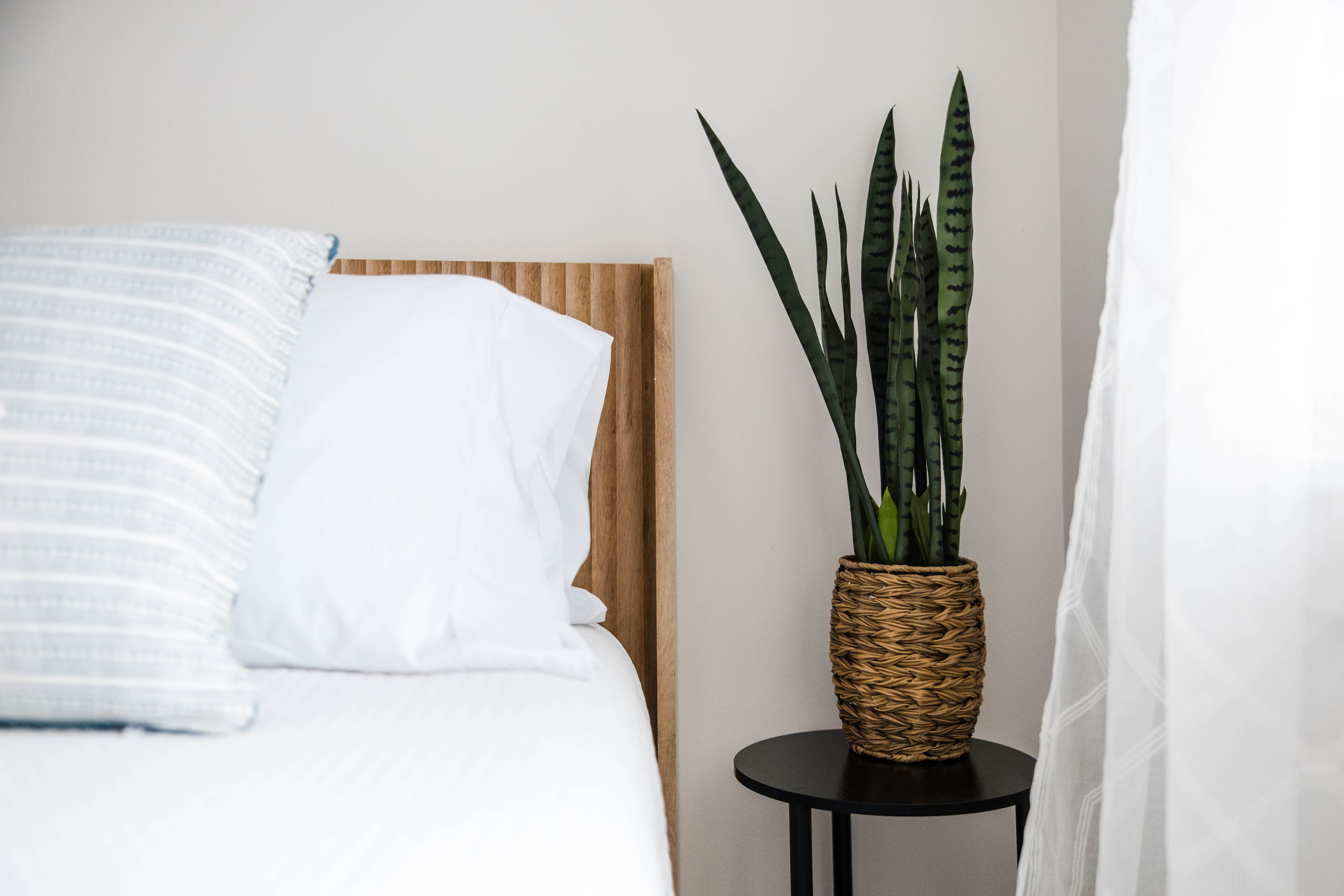 Snake plant in a woven basket on a black side table next to a bed.